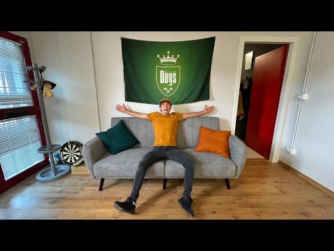 NUOVO STUDIO - FASE 2: Il Trasloco | Cane Secco