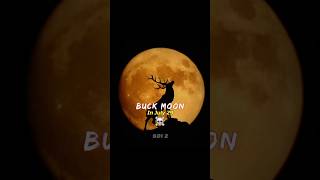 Download lagu The Buck Moon Event is coming 🤩💀 #Shorts #Astronomy #Space #Moon #Earth #Sun #Universe mp3
