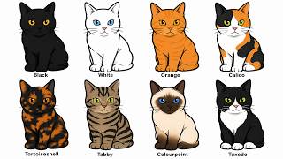 From a Cat Colour Made by a Virus to One That Reads Temperature