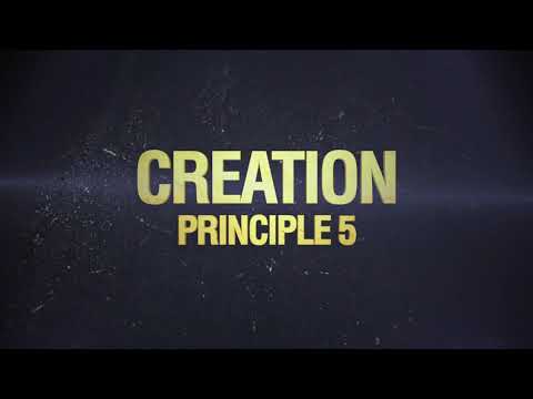 Principle 5: Creation (The 32 Principles of Jiu-Jitsu)
