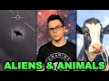 Aliens Animal Rights A Vegan Perspective On The UFO Phenomenon