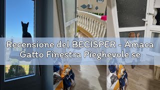 Recensione del BECISPER - Amaca Gatto Finestra Pieghevole senza Cavi Letto per Gatto con Ventose Sta