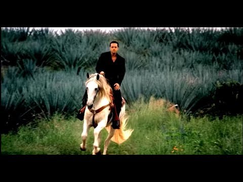 Luis Miguel - "Que Seas Feliz" (Video Oficial)