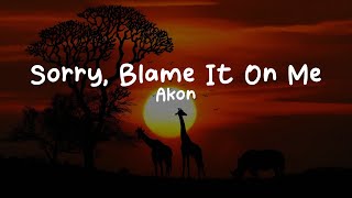 Akon-Sorry, Blame It On Me (Lyrics)