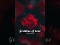 Majnu Love Bgm WhatsApp Status Created By CneshCreations