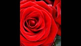 Autumn - Behind the walls of her desire