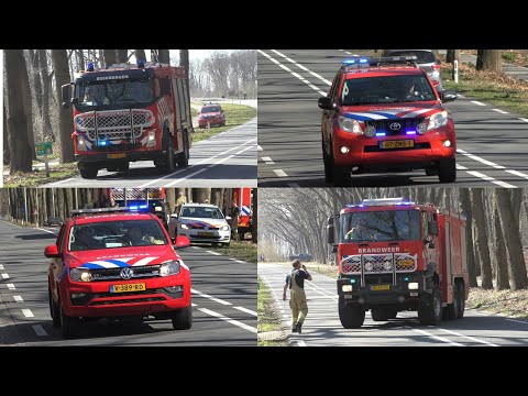 Prio 1 Brandweer Arnhem-Noord, Velp, Rheden, Ede en Beekbergen met spoed naar bosbrand in Rozendaal