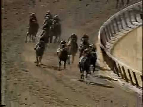 Victory Gallop - 1998 Belmont Stakes
