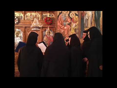 20191026 NICOLAE BALASOIU – SFANTUL MUCENIC DIMITRIE IZVORATORUL DE MIR