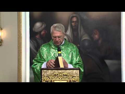 Homilia Santa Missa - Pe. Eduardo 29/01/2014