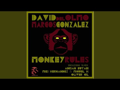 Monkey Rules (Adrian Butabi Remix)