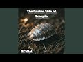 The Darker Side of Scorpio