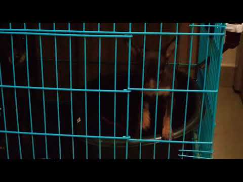 When Bonnie meet Motchie