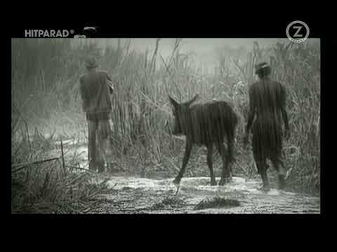 Videoclip de Rainin In Paradize (Long Album Version) — Manu Chao