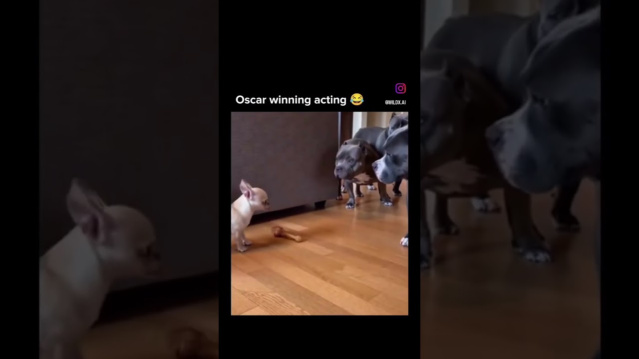 Food that’ll kill ya 🤣