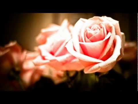 SUPREME - TENDER LOVIN [Valentines Day Anthem *dancehall* 2012]