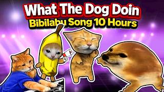 What The Dog Doin Bibilabu Song 10 Hours