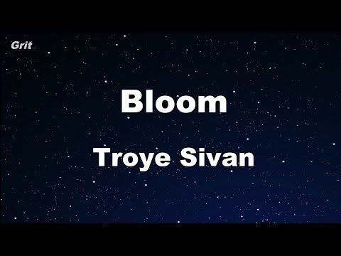 Bloom - Troye Sivan Karaoke 【With Guide Melody】 Instrumental