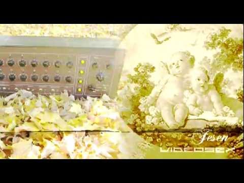 Videosex - Jesen