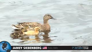 Jamey Siebenberg