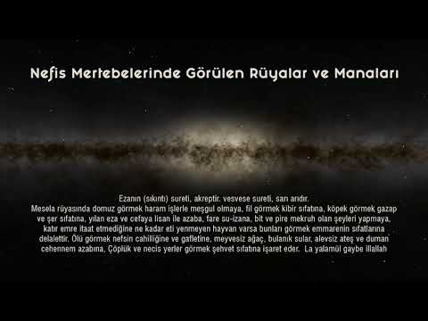 Nefis Mertebelerinde görülen Rüyalar ve Manaları