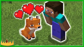 EASIEST way to tame a FOX in Minecraft!