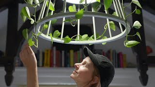 Making a plant chandelier AKA a plamp