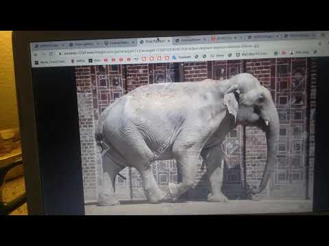 Finding Nemo (NatureRules1 Remake) Part 19: Off Ramp