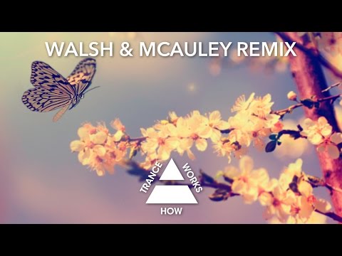 Philippe El Sisi & Sarah Lynn - Look Above (Walsh & McAuley Remix)