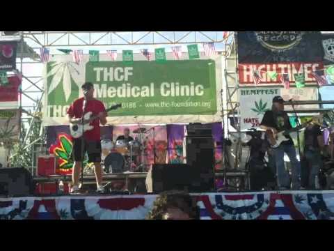 Seattle Hempfest 2013   The Toyes   Green Doctor