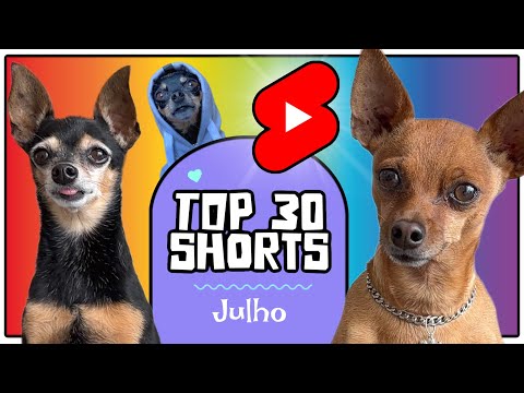 OS MELHORES SHORTS DE JULHO 2023 DOS PEQUENOS PRÍNCIPES | COMPILADO