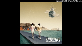 Pavo Pavo - Somewhere in Iowa