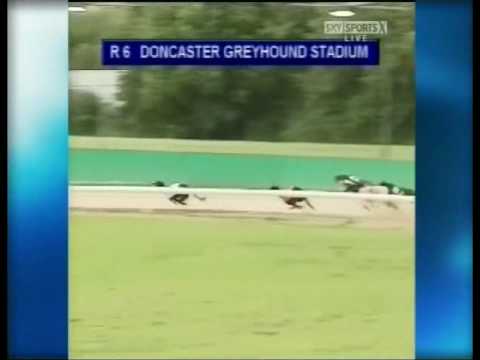 Swift Jade wins Heat 2 of the TV Trophy 2008 at Doncaster
