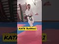 Bunkai Kata Gojushiho Dai Full Video