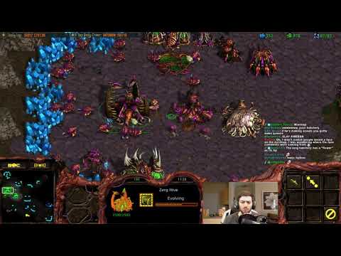 Starcraft BW - The Greatest 8 Man FFA