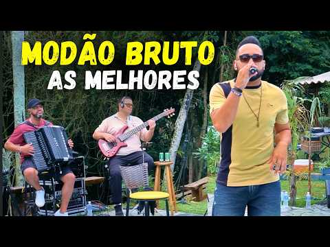 Modão Sertanejo, Seresta e Arrocha and 4 more