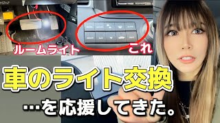 車のライト交換を応援してきた。 #ルームライト #改造車 #車修理