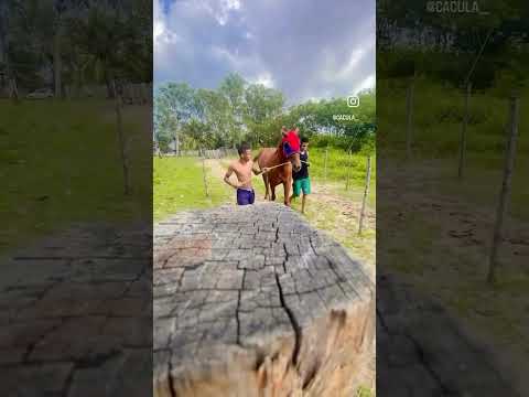 Rancho Guto São luis-ma