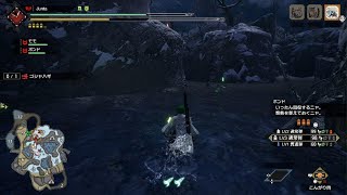 [MHR]ゴシャハギ　上位　ソロ　実況無し