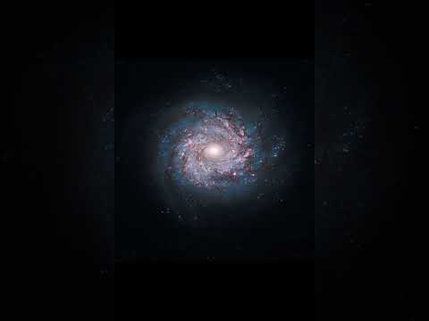 Ste Milano X Tazeboy X lynx La go la ( speed up )