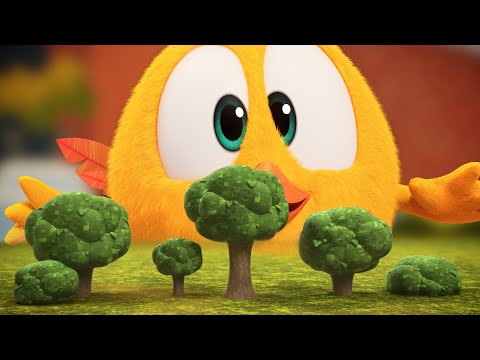 Giant Chicky | Where's Chicky? | Cartoon Collection in English for Kids | New episodes