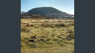 Prisoners of Rock &amp; Roll (feat. Tessall Collective)