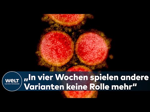 WELT INTERVIEW: Merkel-Berater Apweiler - Corona-Variante scheint Trend dramatisch zu ändern