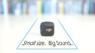 DJI Mic Mini Review - Sounds Bigger Than It Looks