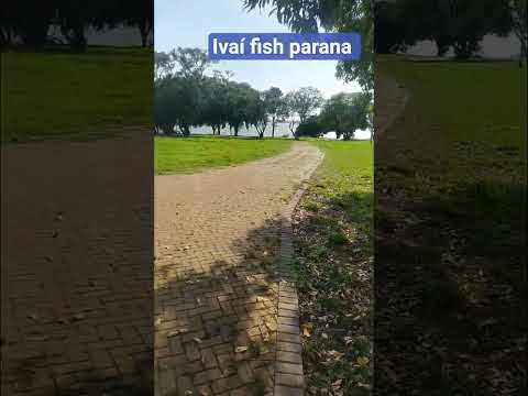 prainha terra rica Paraná #pescaria #music #fishing #pesca #barcopesqueiro