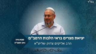 יציאת מצרים בראי הלכות הרמב”ם | שבוע עיון פסח תשפ"ה | הרב אליקים צדוק (ישיבת אור עציון) - התמונה מוצגת ישירות מתוך אתר האינטרנט יוטיוב. זכויות היוצרים בתמונה שייכות ליוצרה. קישור קרדיט למקור התוכן נמצא בתוך דף הסרטון