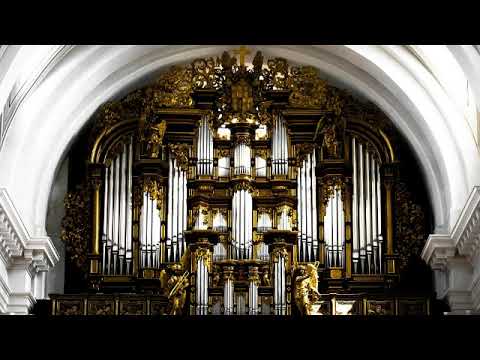 Organista Bellinzona