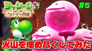 超巨大なプチプチくんで火山を埋め尽くすとどうなる？ww【ヨッシーとフカシギの図鑑】#5