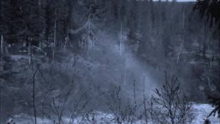 3 hours soft rain, rest, sleep, dream peacefully like a baby, white noise, meditation, insomnia