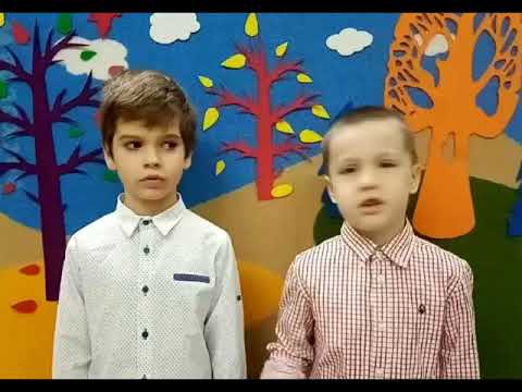 МАДОУ Детский сад № 20 "Сказка"